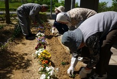 d2015.5.14 1.jpg